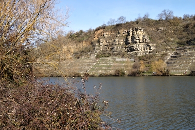 Neckarschleife und -felsen bei Lauffen